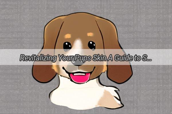 Revitalizing Your Pups Skin A Guide to Soothe Dry Flaky Fur